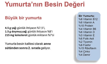 Yumurta Besin Değeri Nedir?